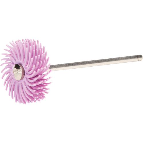Scotch-Brite Radial Bristle Discs, Pumice Grit, 3/4" Dia. Superchem Industries