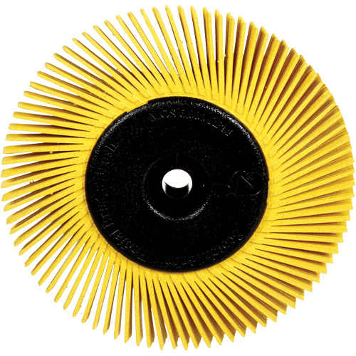 Brosses radiales bristle pour meuleuses d'&eacute;tabli, Grain 80X, 6" dia. Superchem Industries