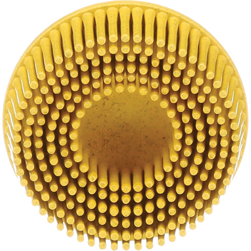 Scotch-Brite Roloc Bristle Discs, 80 Grit, 2" Dia. Superchem Industries