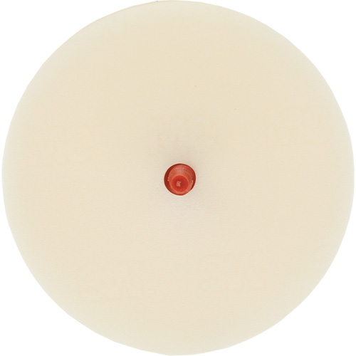 Disque pour enlever les bandes et les adh&eacute;sifs pour moulures Scotch-Brite, 4" dia. Superchem Industries