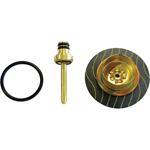 Filter/Regulator - Relieving Diaphragm & Valve Assembly Superchem Industries