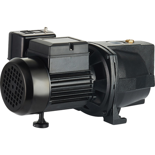 Pompe &agrave; jet en fonte &agrave; double tension pour puit peu profond, 115 V/230 V, 1100 gal./h, 1 CV Superchem Industries