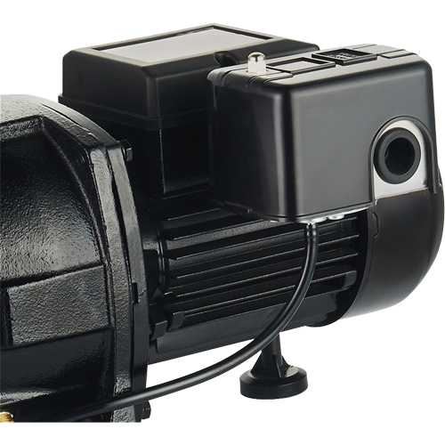 Pompe &agrave; jet en fonte &agrave; double tension pour puit peu profond, 115 V/230 V, 1100 gal./h, 1 CV Superchem Industries