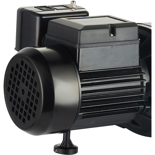 Pompe &agrave; jet en fonte &agrave; double tension pour puit peu profond, 115 V/230 V, 1100 gal./h, 1 CV Superchem Industries