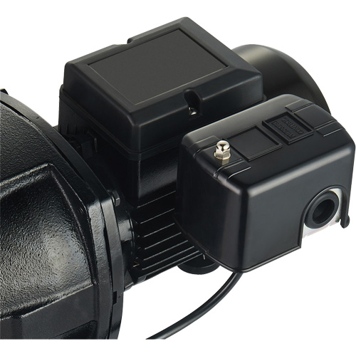 Pompe &agrave; jet en fonte &agrave; double tension pour puit peu profond, 115 V/230 V, 1100 gal./h, 1 CV Superchem Industries