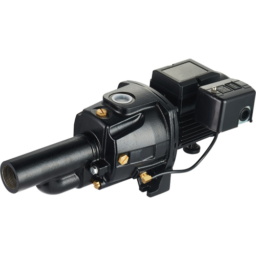 Pompe &agrave; jet en fonte &agrave; double tension transformable, 115 V/230 V, 1100 gal./h, 1/2 CV Superchem Industries
