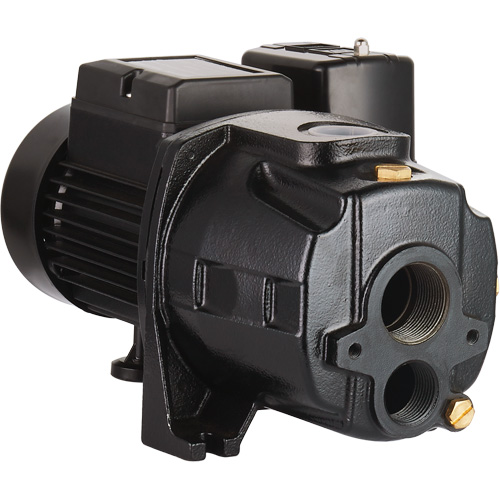 Pompe &agrave; jet en fonte &agrave; double tension transformable, 115 V/230 V, 1100 gal./h, 1/2 CV Superchem Industries