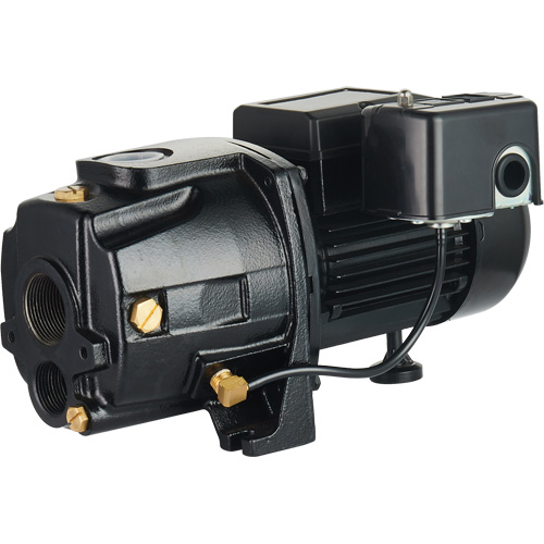Pompe &agrave; jet en fonte &agrave; double tension transformable, 115 V/230 V, 1100 gal./h, 1/2 CV Superchem Industries