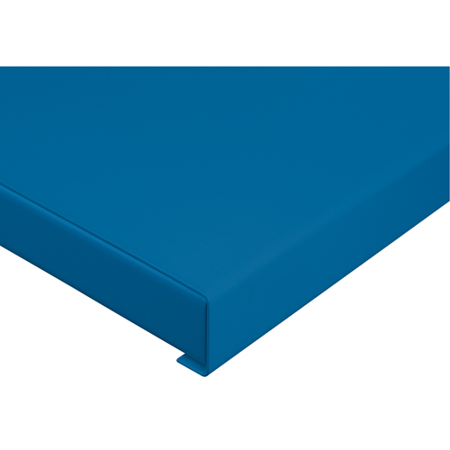 &eacute;tabli avec armoire - Dessus Superchem Industries