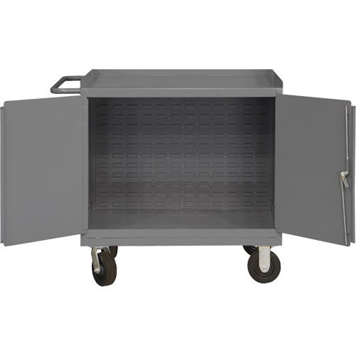 Mobile Workbench Cabinet with Louvered Panel Back, Steel Surface Superchem Industries
