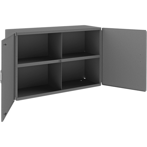 Wall-Mountable Cabinet, 24" H x 33-13/16" W x 12-3/8" D, 1 Shelves, Steel, Grey Superchem Industries