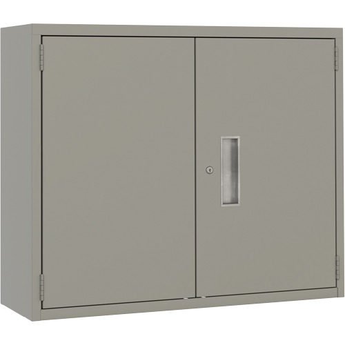 Wall Mounted Cabinet, Steel, 2 Shelves, 30" H x 36" W x 12" D, Grey Superchem Industries