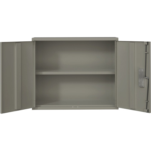 Wall Mounted Cabinet, Steel, 2 Shelves, 30" H x 36" W x 12" D, Grey Superchem Industries