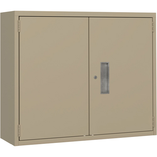 Armoire murale, Acier, 2 Tablettes, 30" h x 36" la x 12" P, Beige Superchem Industries