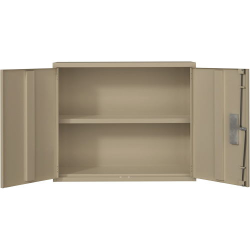 Armoire murale, Acier, 2 Tablettes, 30" h x 36" la x 12" P, Beige Superchem Industries