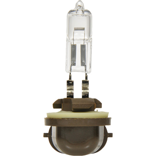 886 Basic Fog Light Bulb, Halogen, 50 W, Off White Superchem Industries