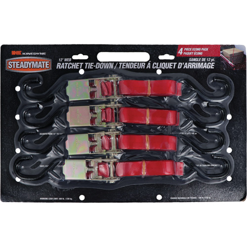 Tendeurs d'arrimage &agrave; cliquet, Crochet en S, 1" , 12' , Charge d'utilisation max. 500 lb (230 kg) Superchem Industries