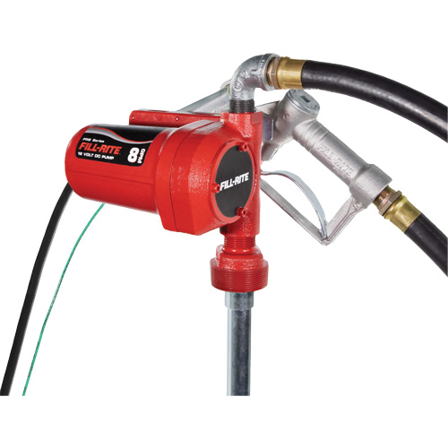 12V DC Fuel Transfer Pump with Nozzle Superchem Industries