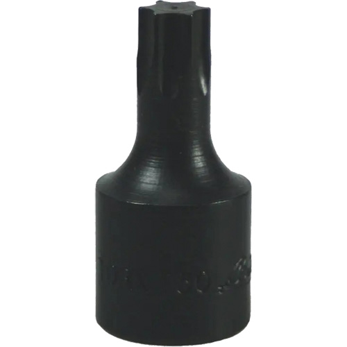 Embout Torx&reg; T-50 Superchem Industries