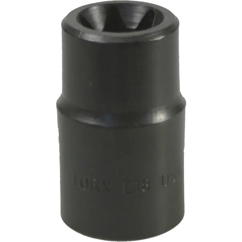Douille Torx&reg; E-18 Superchem Industries