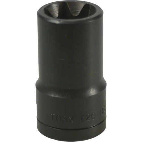 E-20 Torx&reg; Socket Superchem Industries