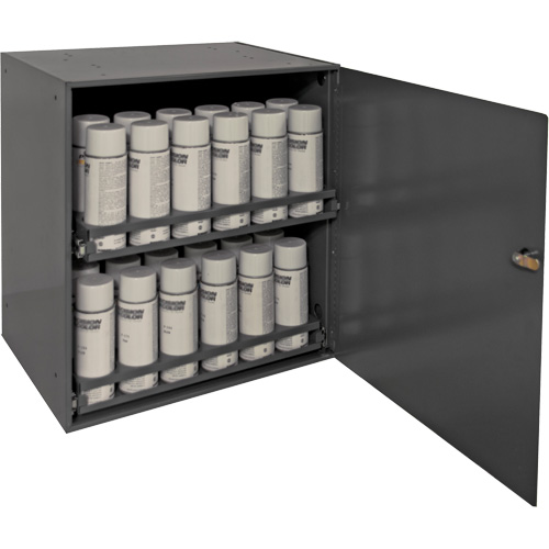 Armoire de rangement pour contenants a&eacute;rosol, Acier, 21-7/8" h x 15-15/16" la x 20-5/16" P, Gris Superchem Industries