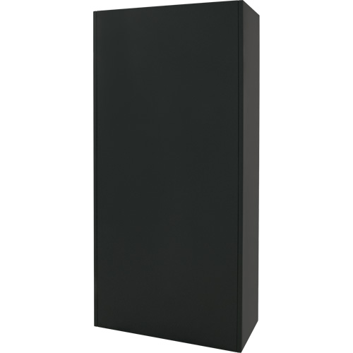 Armoire de rangement Hi-Boy, Acier, 4 Tablettes, 72" h x 36" la x 18" P, Noir Superchem Industries