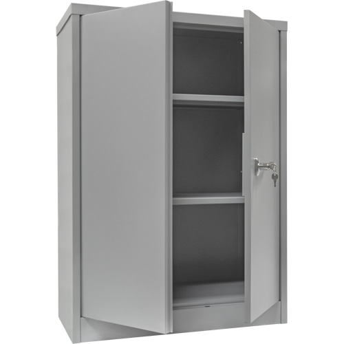 Armoire de rangement &agrave; hauteur de comptoir, Acier, 2 Tablettes, 42" h x 30" la x 15" P, Gris Superchem Industries
