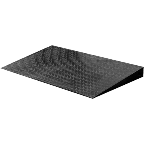 VN Series Economical Floor Scales - Ramp Superchem Industries