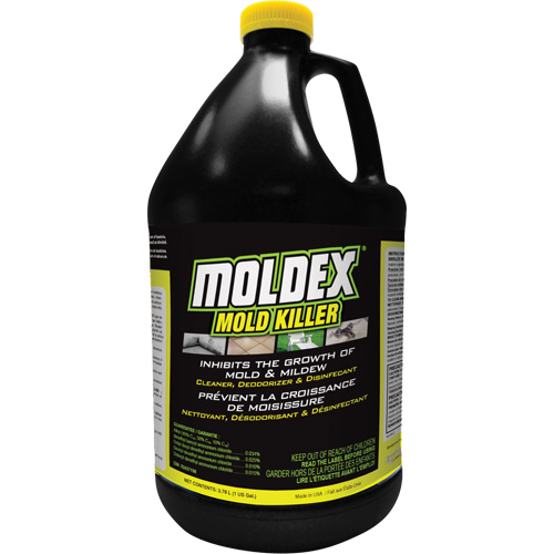 D&eacute;sinfectant contre les moisissures Moldex, 3,78 L, Cruche Superchem Industries