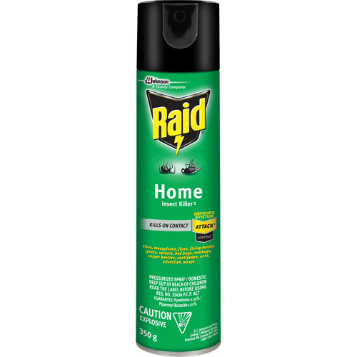 Raid&reg; Home Insect Killer, 350 g, Solvent Base Superchem Industries