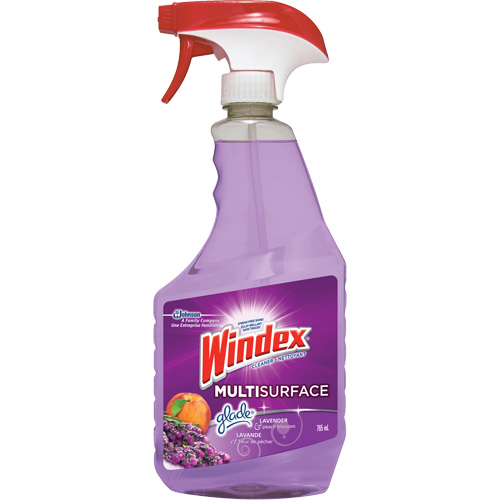 Nettoyant multi-surfaces de Windex, 765 ml, Bouteille &agrave; g&acirc;chette Superchem Industries