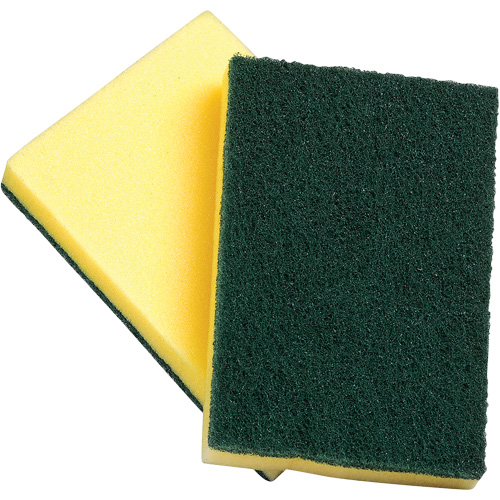 Sponges with Scouring Pad, Scrubbing, 4" W x 6" L Superchem Industries