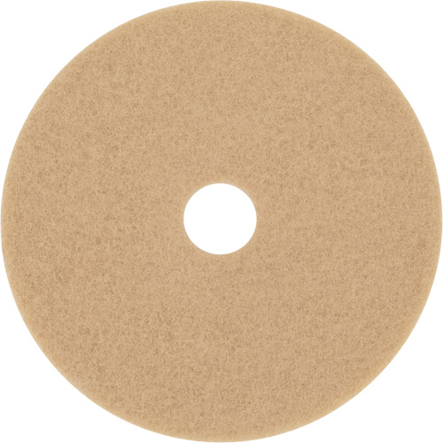 Trizact Diamond TZ Abrasive Strip, 20", Burnishing, Beige Superchem Industries