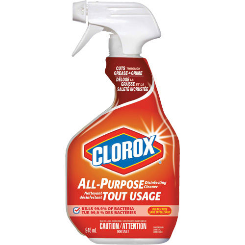 Nettoyant d&eacute;sinfectant tout usage &agrave; pulv&eacute;riser, 946 ml, Bouteille &agrave; g&acirc;chette Superchem Industries