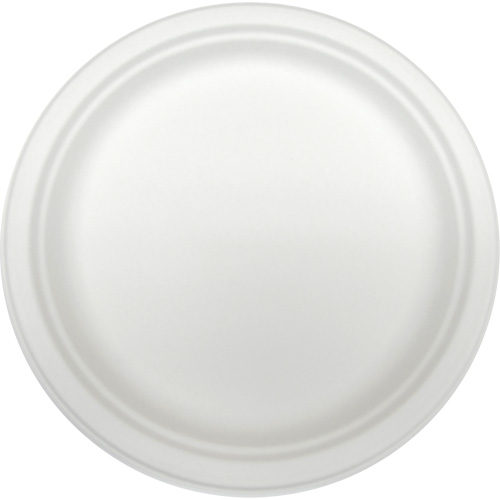 Molded Fiber Disposable Plates Superchem Industries
