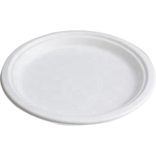 Compostable Plates Superchem Industries