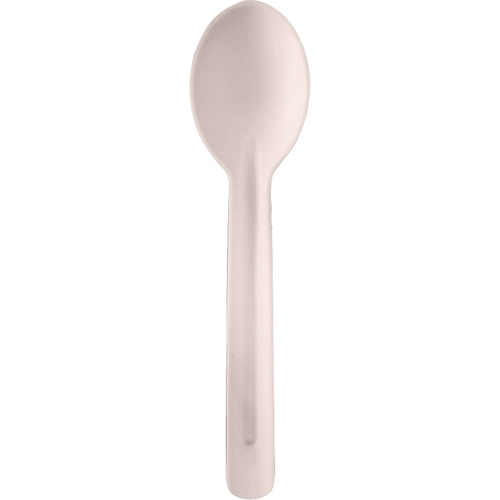 Bagasse Compostable Spoons Superchem Industries