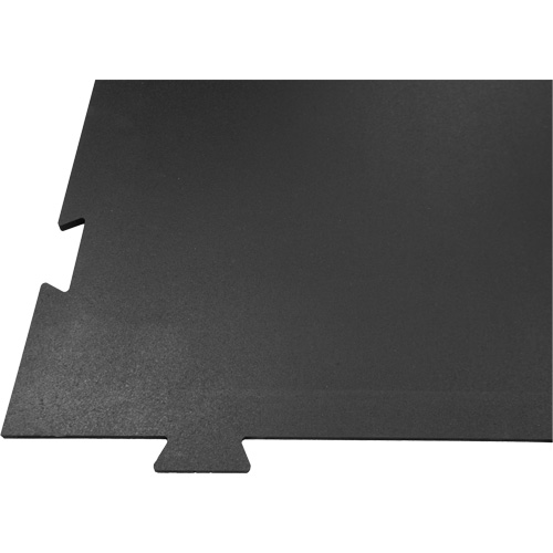 Voyager Residential Home Fitness Flooring Superchem Industries