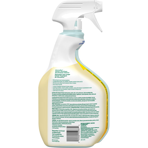 Nettoyant tout usage CloroxPro Clorox EcoClean, 946 ml, Bouteille &agrave; g&acirc;chette Superchem Industries