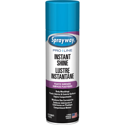 Brillant instantan&eacute; Pro Line pour surfaces en plastique, 11 oz, Canette a&eacute;rosol Superchem Industries