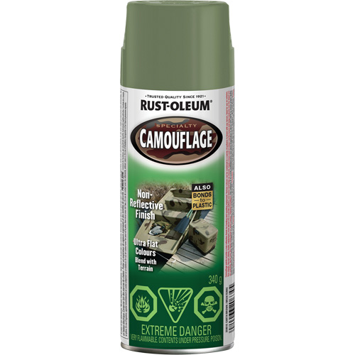 Peinture de camouflage Sp&eacute;cialit&eacute;, Canette a&eacute;rosol, Brun terre Superchem Industries