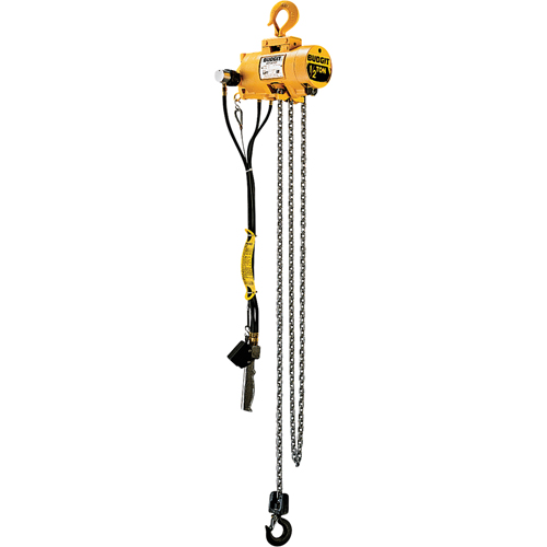 Budgit&reg; Air Chain Hoists Superchem Industries