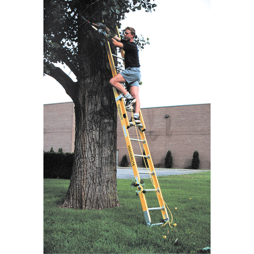 Industrial Heavy-Duty Extension Ladders (6200 Series), 375 lbs. Cap., 13' H, Grade 1AA Superchem Industries