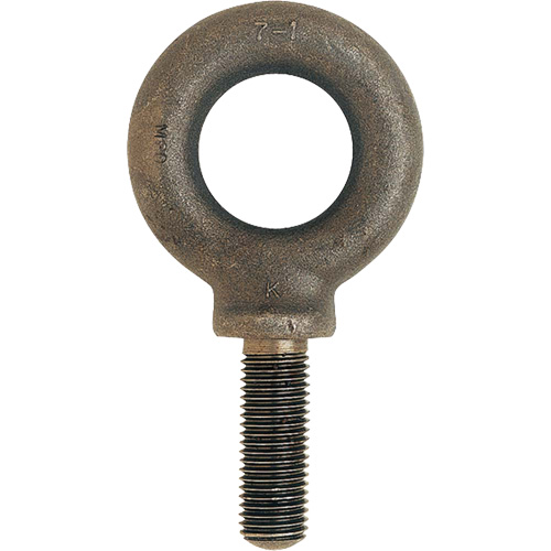 Metric Eyebolt, 51 mm Dia., 70 mm L, 11400 lbs. (5.7 tons) Capacity Superchem Industries