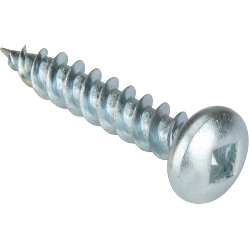Vis taraudeuse &agrave; t&ecirc;te cylindrique, #10 x 1-1/4" lo, Zingu&eacute; Superchem Industries