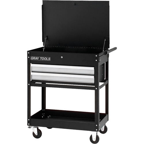 Chariot utilitaire, 2 tiroirs, 30-1/4" lo x 19" la x 35-3/4" h, Noir Superchem Industries