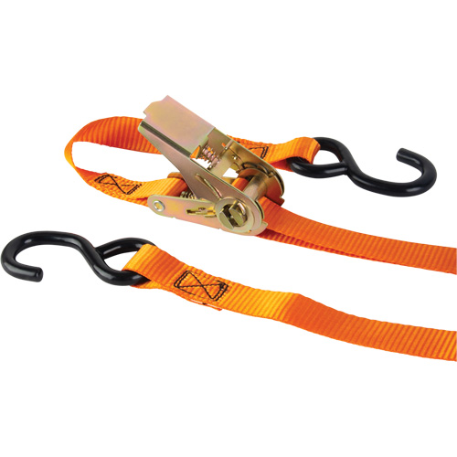 Tendeur d'arrimage &agrave; cliquet, Crochet en S, 1" , 12' , Charge d'utilisation max. 2200 lb (998 kg) Superchem Industries