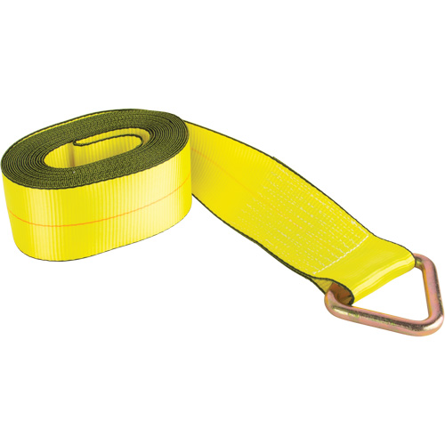 Logistic Strap, Delta Ring, 4" W x 30' L, 5400 lbs. (2449 kg) Working Load Limit Superchem Industries