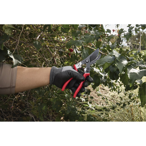 1” Angled Pruning Shears Superchem Industries